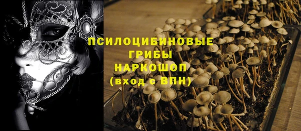 прущие грибы Алексин