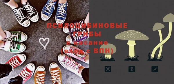 индика Алексеевка