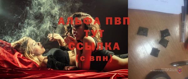 индика Алексеевка