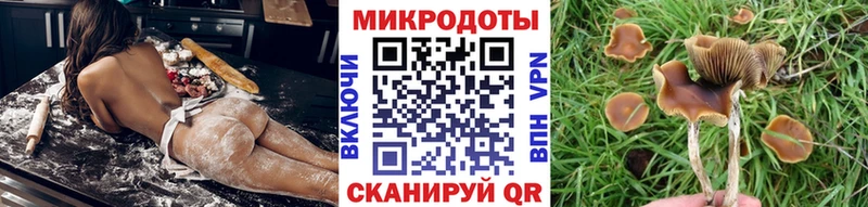 купить  сайты  Кола  Галлюциногенные грибы GOLDEN TEACHER 